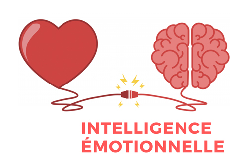 Schéma Intelligence émotionnelle